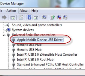 network drivers for windows and mac
